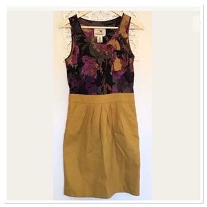 Anthropologie Tabitha Dress Size 4